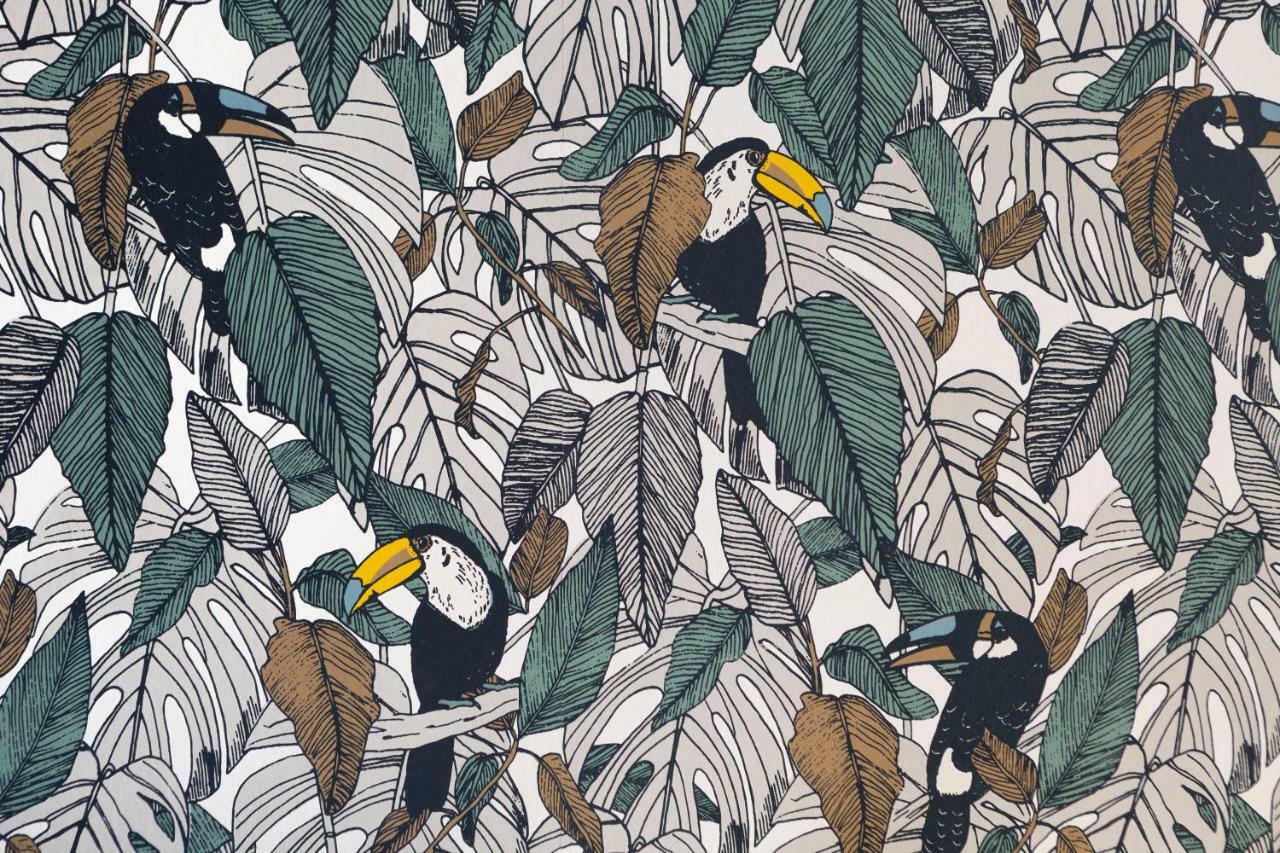 Le Toucan By Cocoonr Apartment